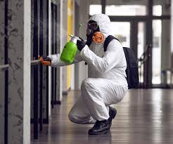 Trusted Thurmont, MD Mold Remediation Experts